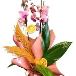 Gül kurusu 2’li Asian Coral Orkide - 1
