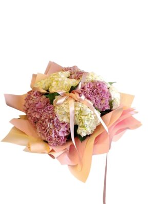 Pastel Hydrangea Premium