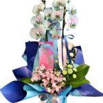 Blue and Pink Orkide - 1