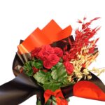 Red Begonya - 1