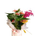 Flamingo Anthurium Tasarımı - 1