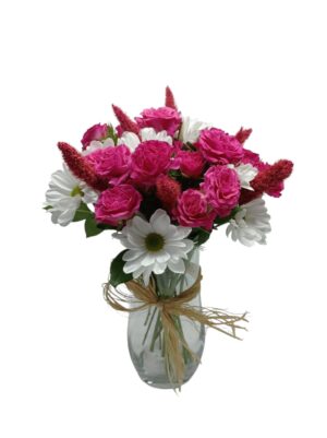 Pink Daisy Papatya ve Güller