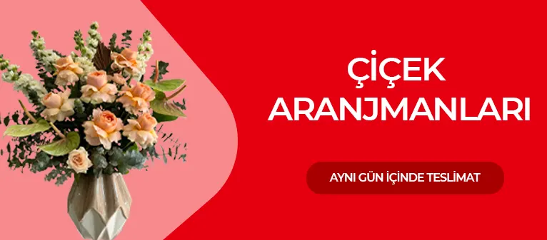 Çiçek Aranjmanları